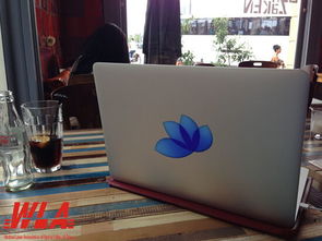 厌烦与别人相同的MacBook？洛芙科技为你定制独一无二的它