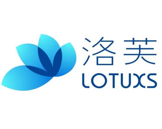 武汉洛芙科技股份